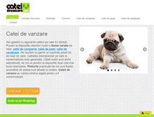 Tablet Screenshot of cateidevanzare.info